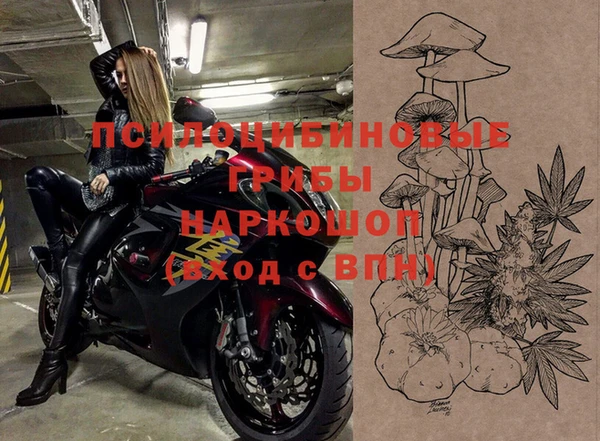 ALPHA PVP Заводоуковск