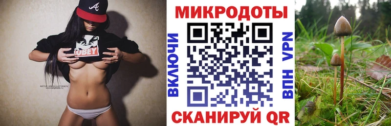 Купить закладки  Белебей  Галлюциногенные грибы Psilocybe 